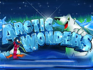 Arctic Wonders